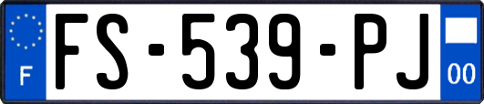 FS-539-PJ