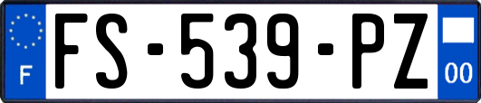FS-539-PZ