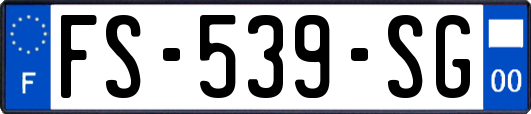 FS-539-SG