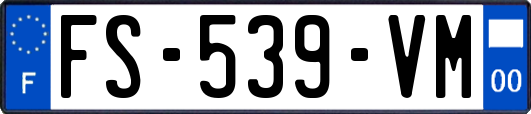 FS-539-VM