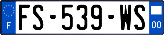 FS-539-WS