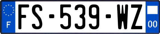 FS-539-WZ