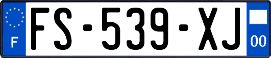 FS-539-XJ