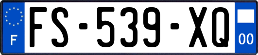 FS-539-XQ
