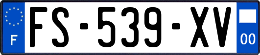 FS-539-XV