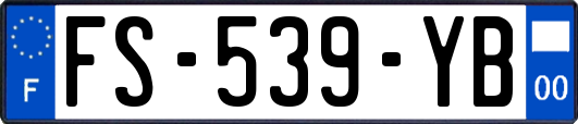 FS-539-YB