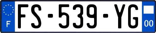 FS-539-YG