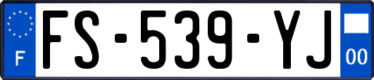 FS-539-YJ