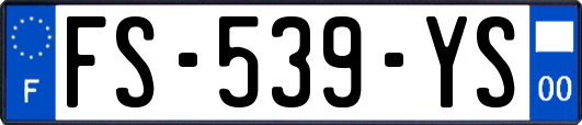 FS-539-YS