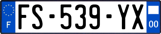 FS-539-YX