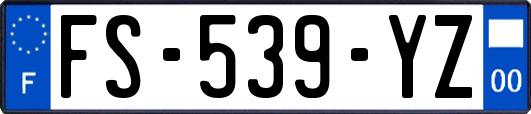 FS-539-YZ