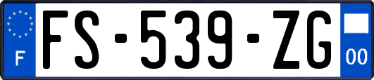 FS-539-ZG