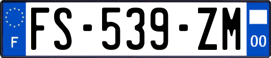 FS-539-ZM