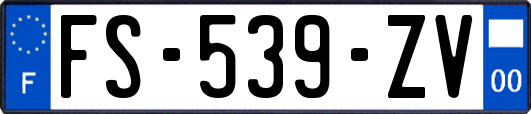 FS-539-ZV
