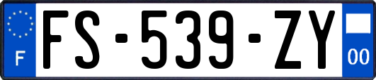 FS-539-ZY