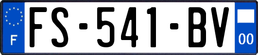 FS-541-BV
