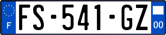 FS-541-GZ