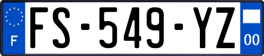 FS-549-YZ