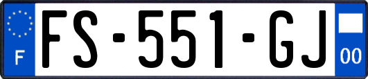 FS-551-GJ