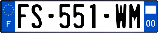 FS-551-WM