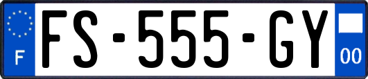 FS-555-GY