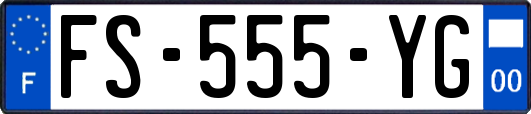 FS-555-YG