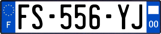 FS-556-YJ