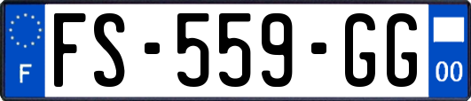 FS-559-GG