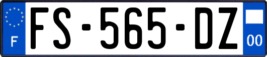FS-565-DZ
