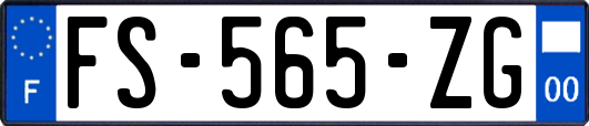 FS-565-ZG