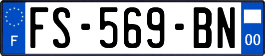 FS-569-BN
