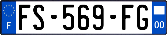 FS-569-FG