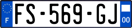 FS-569-GJ
