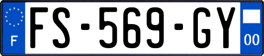 FS-569-GY