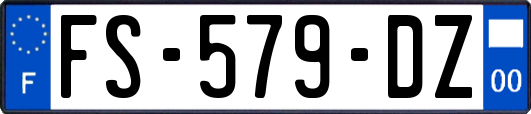 FS-579-DZ