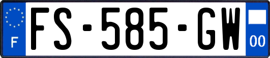 FS-585-GW