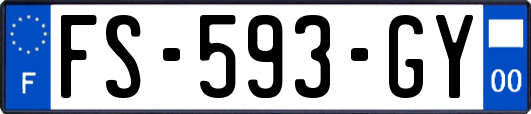 FS-593-GY