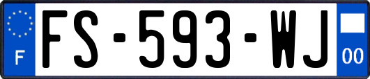 FS-593-WJ