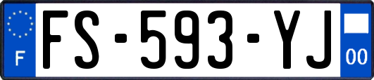 FS-593-YJ
