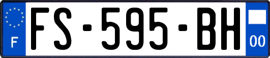 FS-595-BH