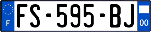 FS-595-BJ