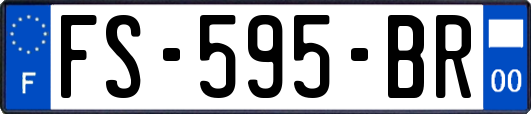 FS-595-BR