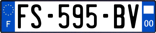 FS-595-BV