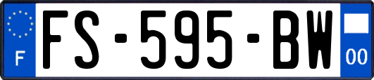 FS-595-BW