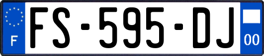 FS-595-DJ