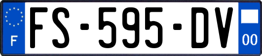 FS-595-DV