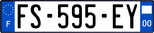 FS-595-EY