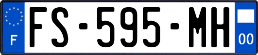 FS-595-MH