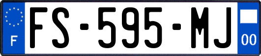 FS-595-MJ