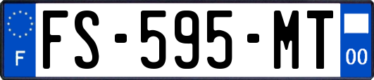 FS-595-MT